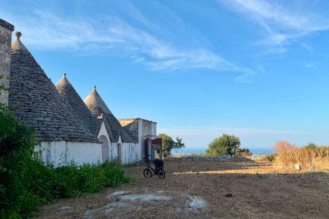 Landejendom i Cisternino, Brindisi, Cisternino - € 1.111.111 | Ref: 381 - foto 3